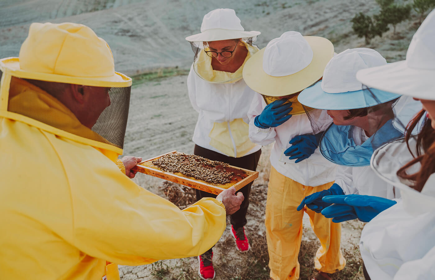 agriturismo-tuscany-experiences-honey-5